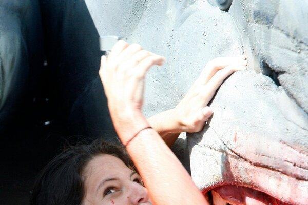 2-Headed Shark Attack
