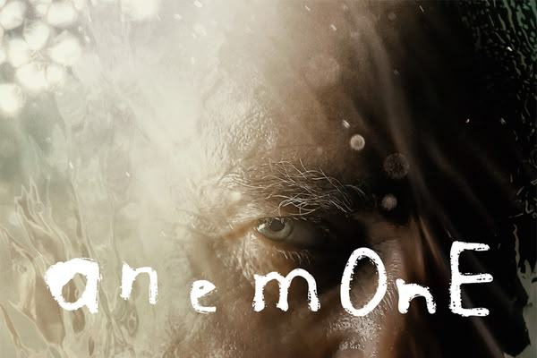 Anemone