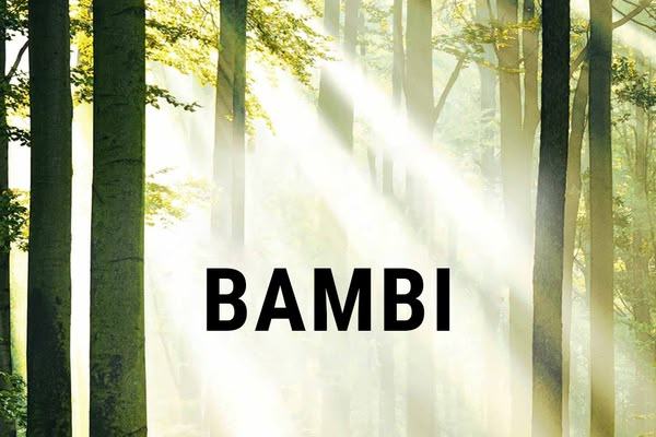 Bambi - Una vita nei boschi