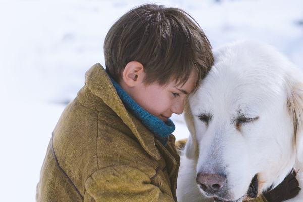 Belle & Sebastien - Amici per sempre