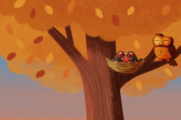 Buonanotte con Carolina - Storie e letterine