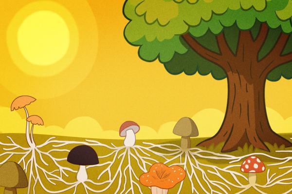 Buonanotte con Carolina - Storie e letterine