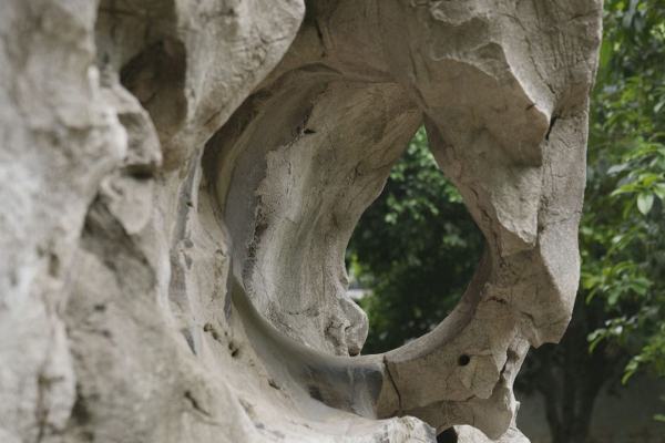 Giardini fantastici e dove trovarli