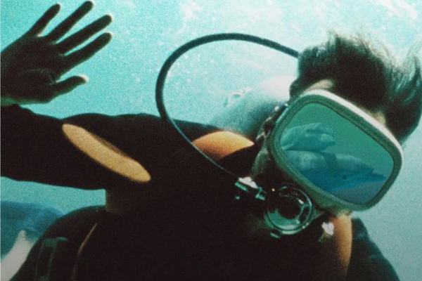 Il giorno del delfino