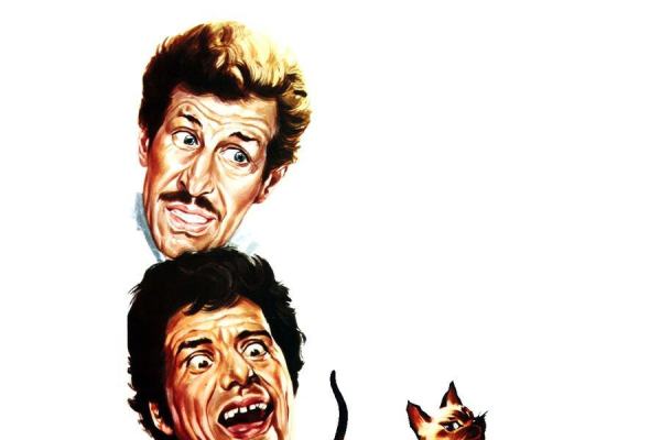 Il lungo, il corto, il gatto