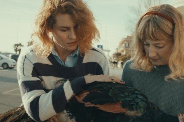 Il paradiso del pavone