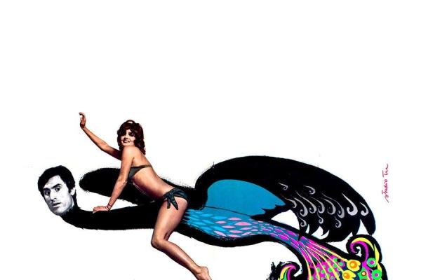 L' uccello migratore