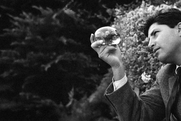 Le mille luci di Antonello Falqui