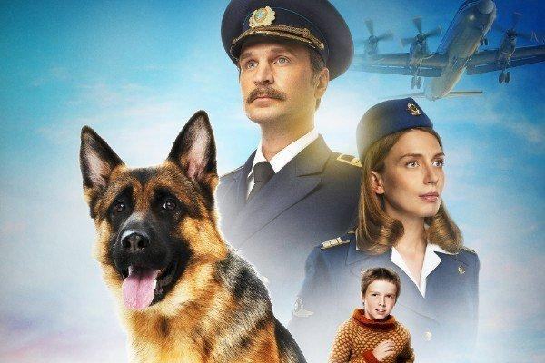 Palma un amore di cane