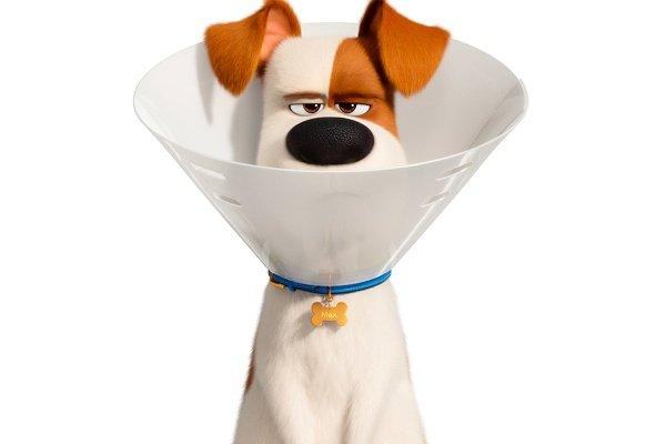 Pets 2 - Vita da animali