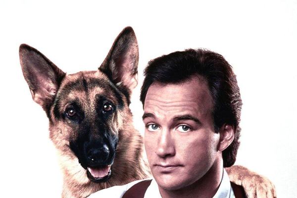 Poliziotto a quattro zampe