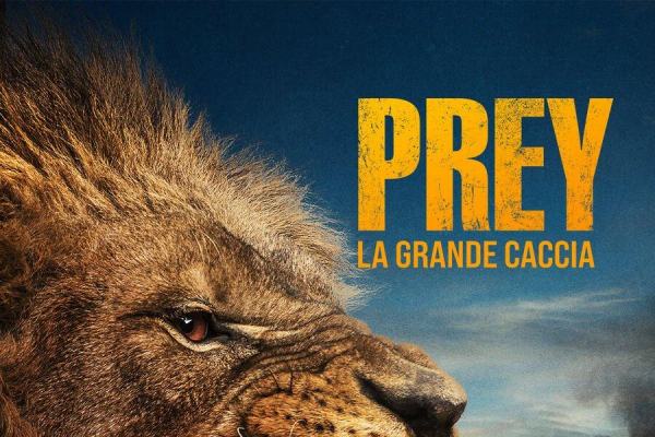 Prey - La grande caccia