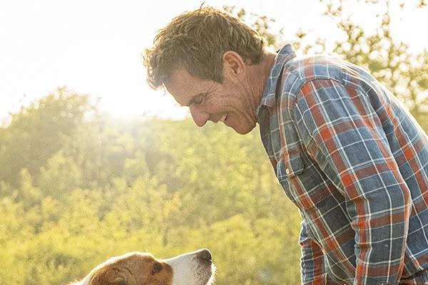 Qua la zampa 2 - Un amico è per sempre