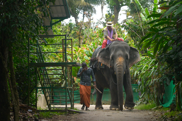 Sulle tracce di Marco Polo