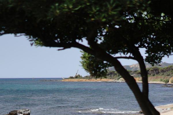 Temptation island