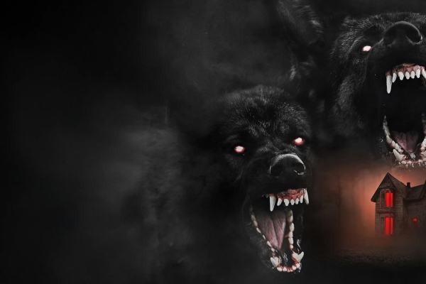 The Dogs