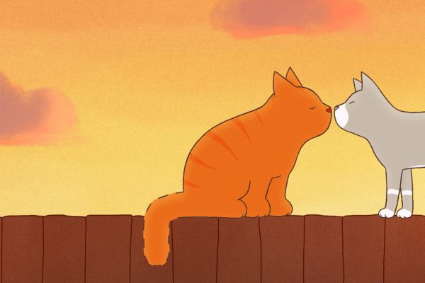 Tommy Tom e l'orsetto perduto