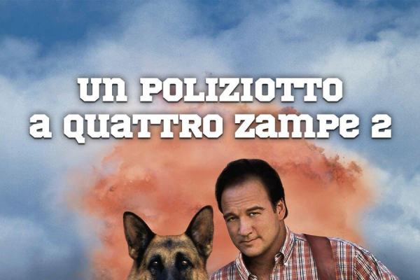 Un poliziotto a quattro zampe 2